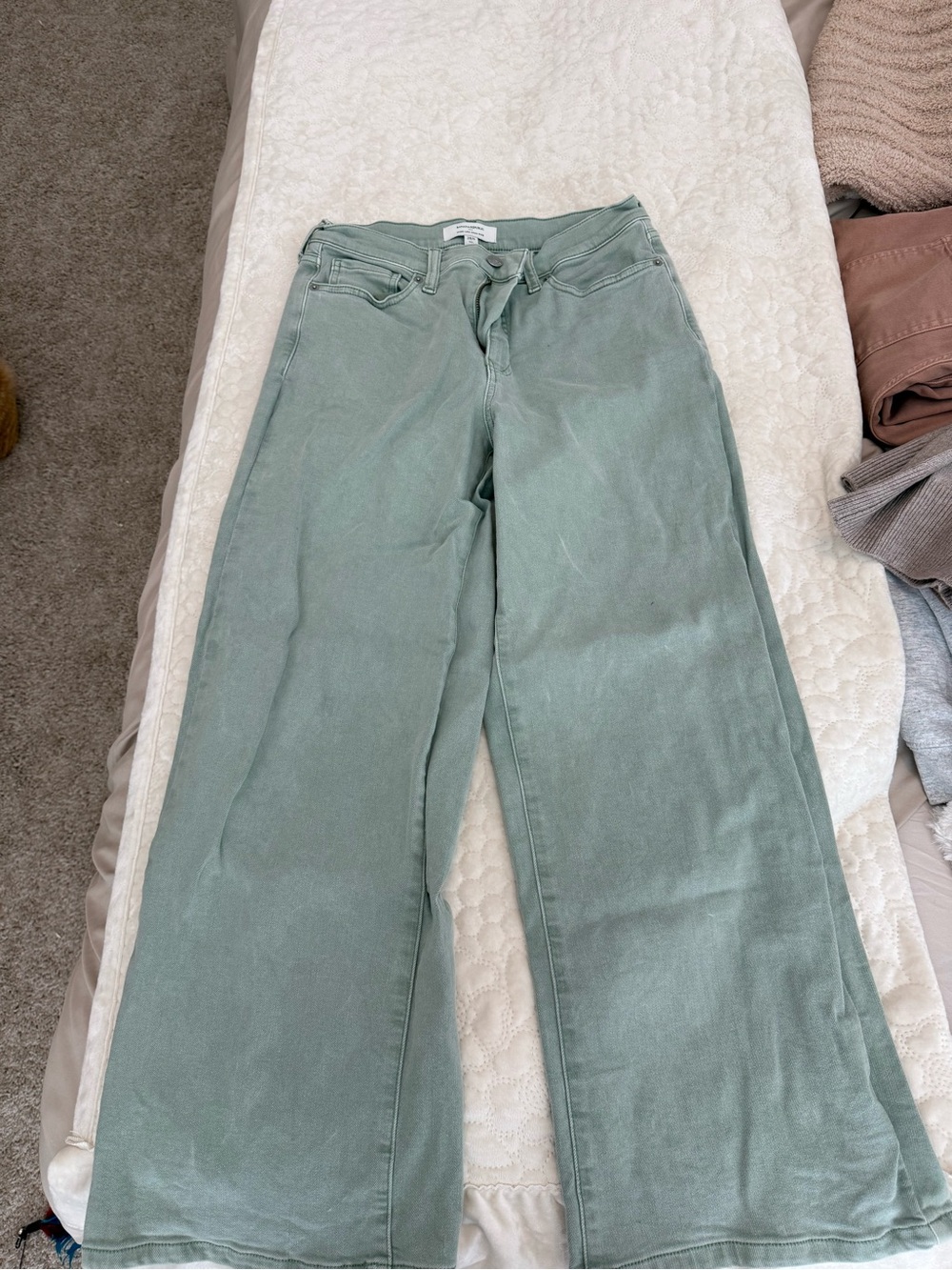 Banana Republic Factory Mint Wide-Leg Jeans